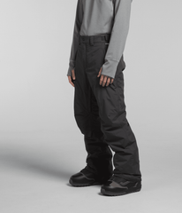 Men’s Freedom Insulated Pants / The North Face