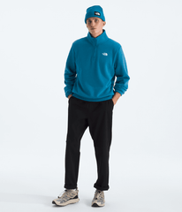 Men’s Evolution Simple Dome Regular ¼-Zip / The North Face