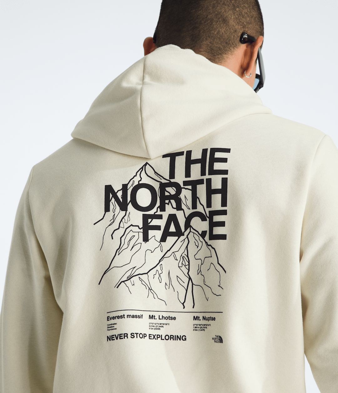 Men’s Evolution Half Dome Hoodie—Graphic / The North Face