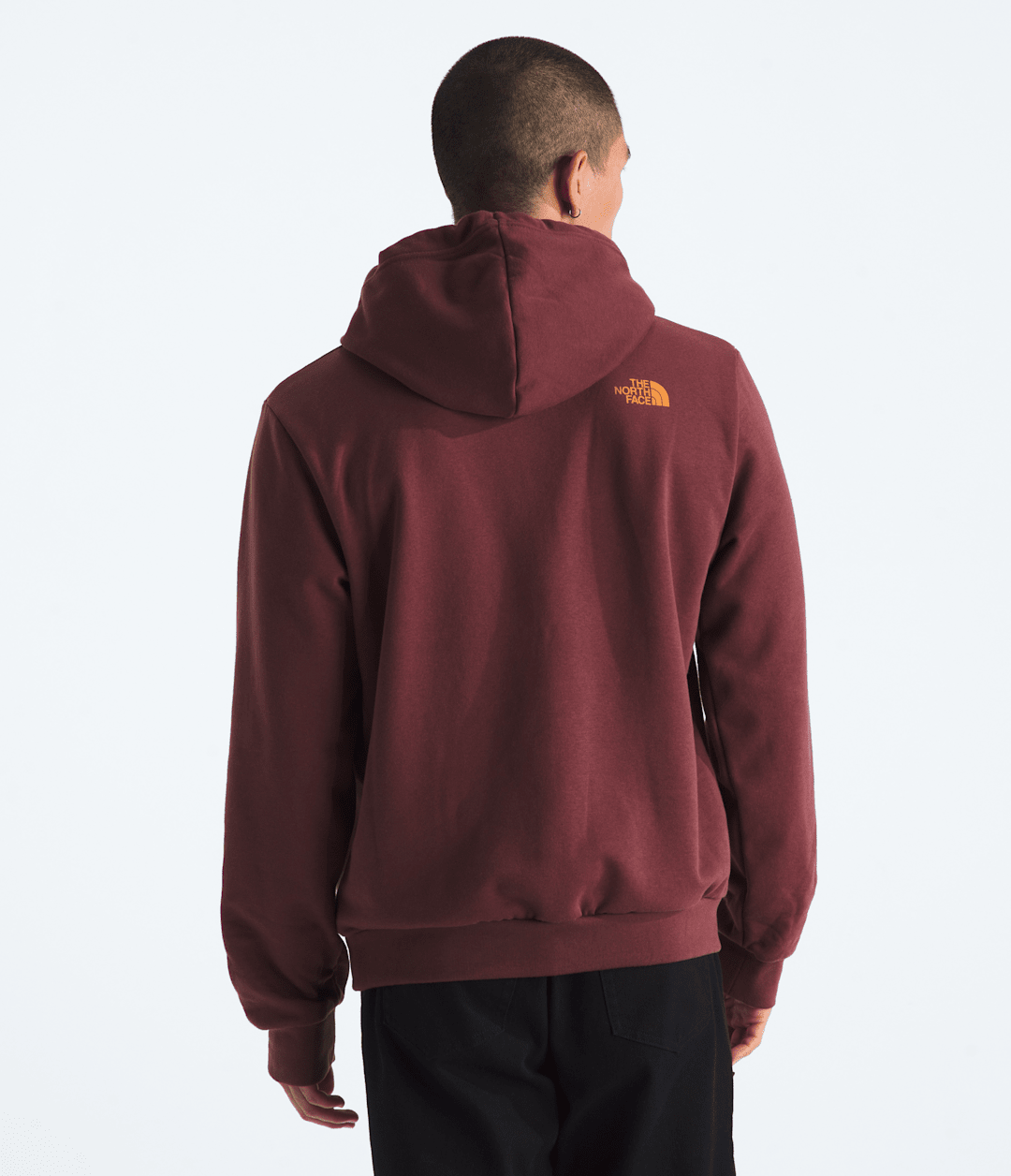 Men’s Evolution TNF™ MTN Hoodie—Graphic / The North Face