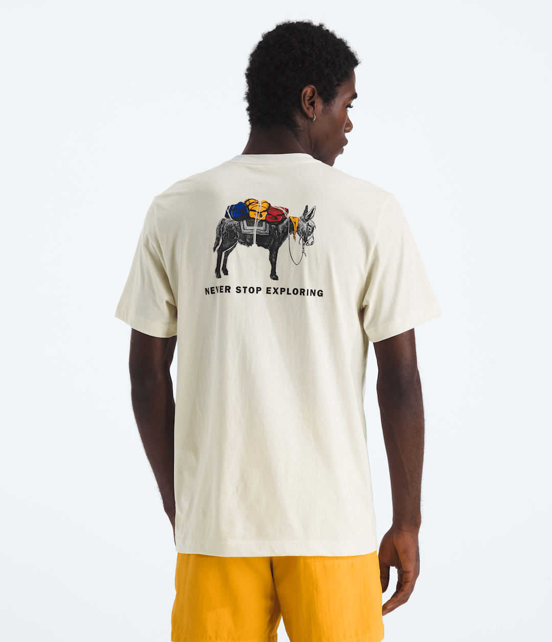 Men’s Evolution Pack Short-Sleeve Tee—Graphic / The North Face