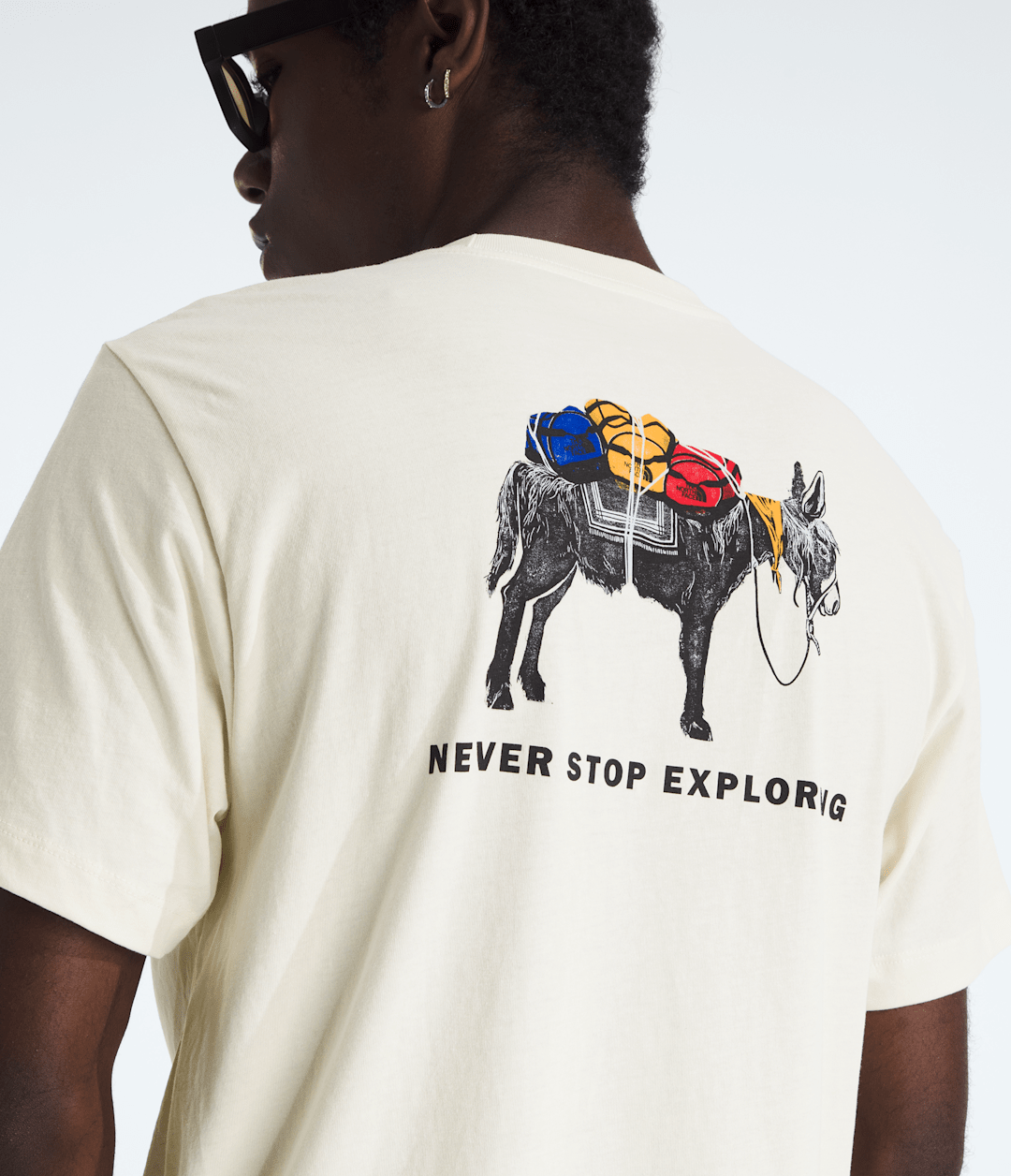 Men’s Evolution Pack Short-Sleeve Tee—Graphic / The North Face