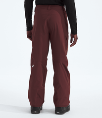 Men’s Freedom Pants / The North Face
