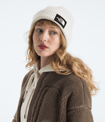 Salty Lined Beanie / The North Face