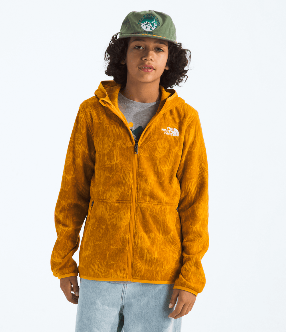 Boys’ & Girls’ Glacier Full-Zip Hoodie—Print / The North Face