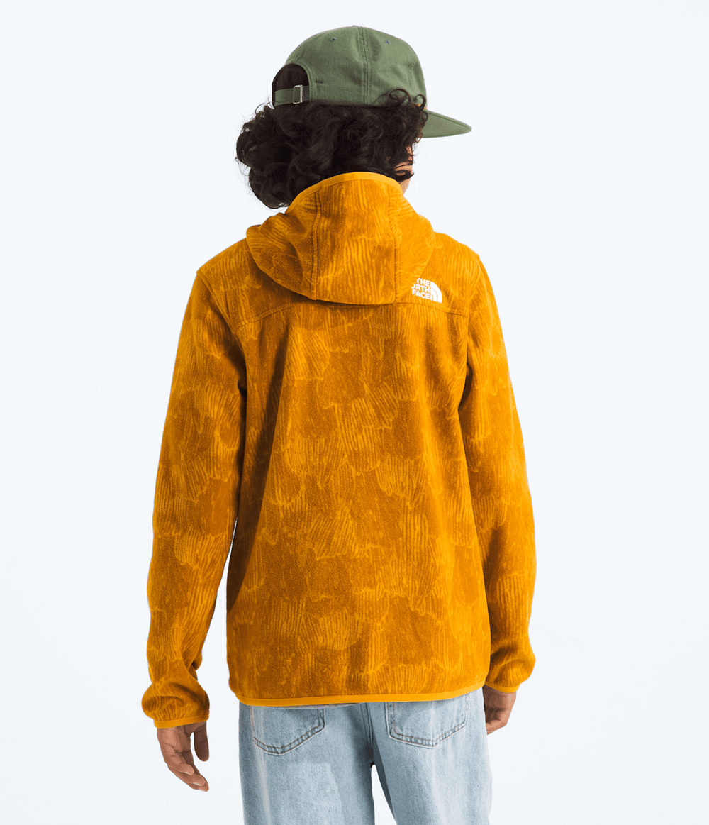 Boys’ & Girls’ Glacier Full-Zip Hoodie—Print / The North Face