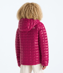 Boys’ & Girls’ THERMOBALL™ Hooded Jacket / The North Face