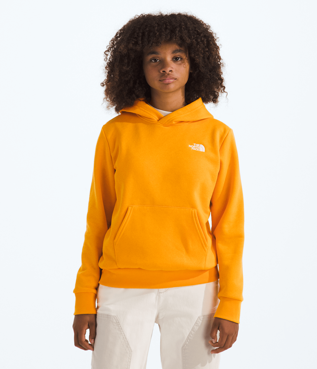 Boys’ & Girls’ Evolution Simple Dome Pullover Hoodie / The North Face