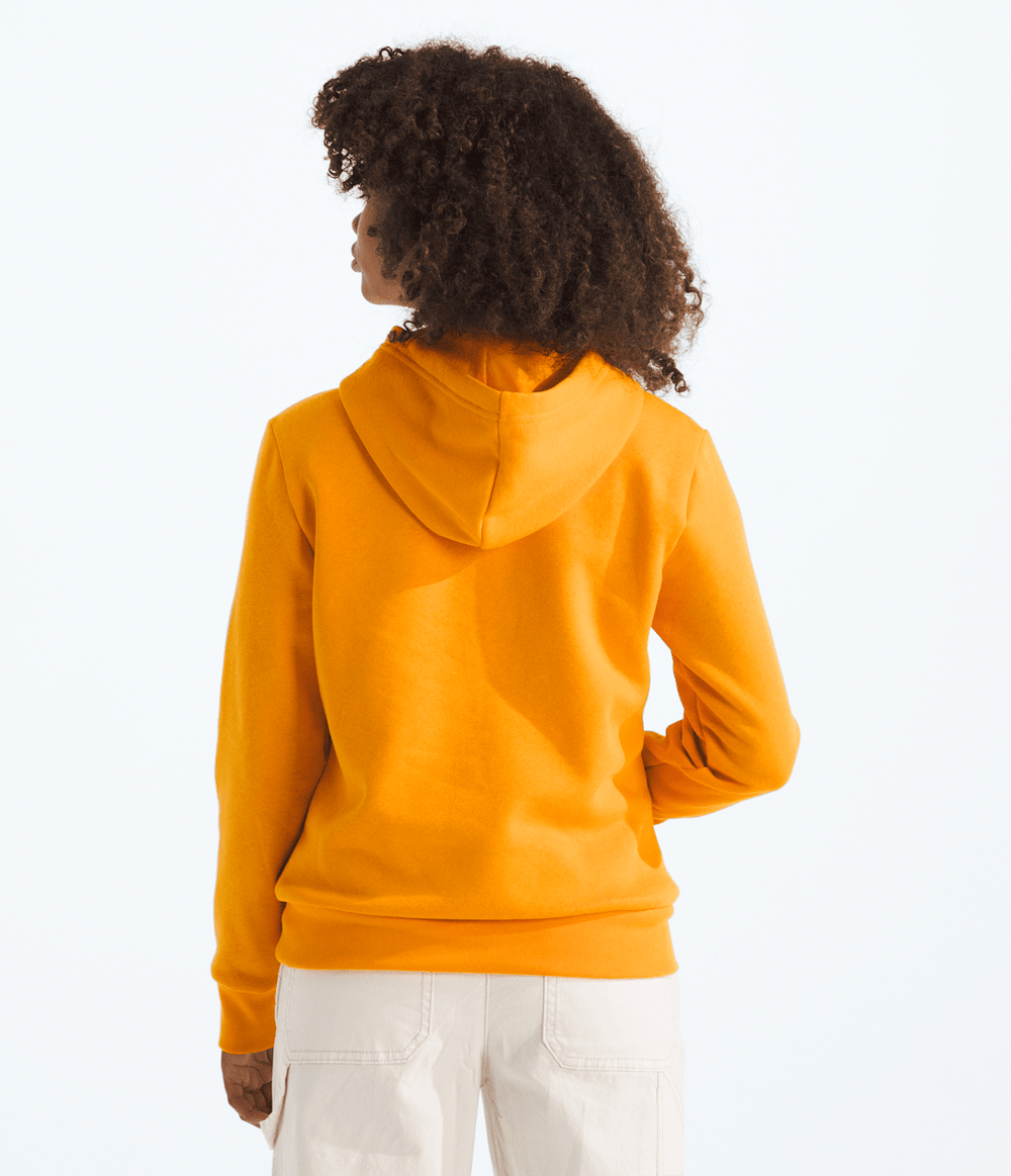 Boys’ & Girls’ Evolution Simple Dome Pullover Hoodie / The North Face