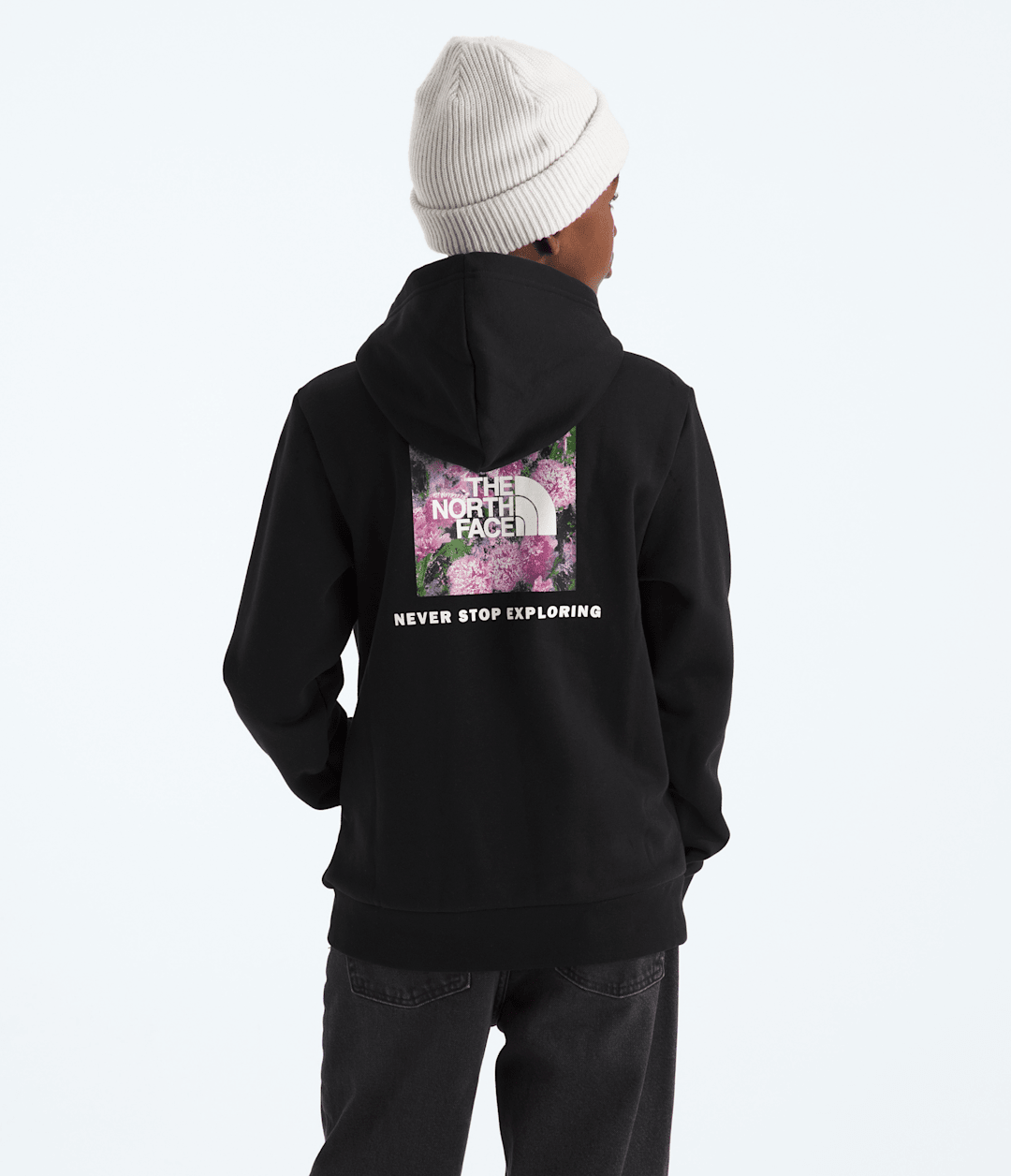 Boys’ & Girls’ Evolution Box NSE Pullover Hoodie—Graphic / The North Face