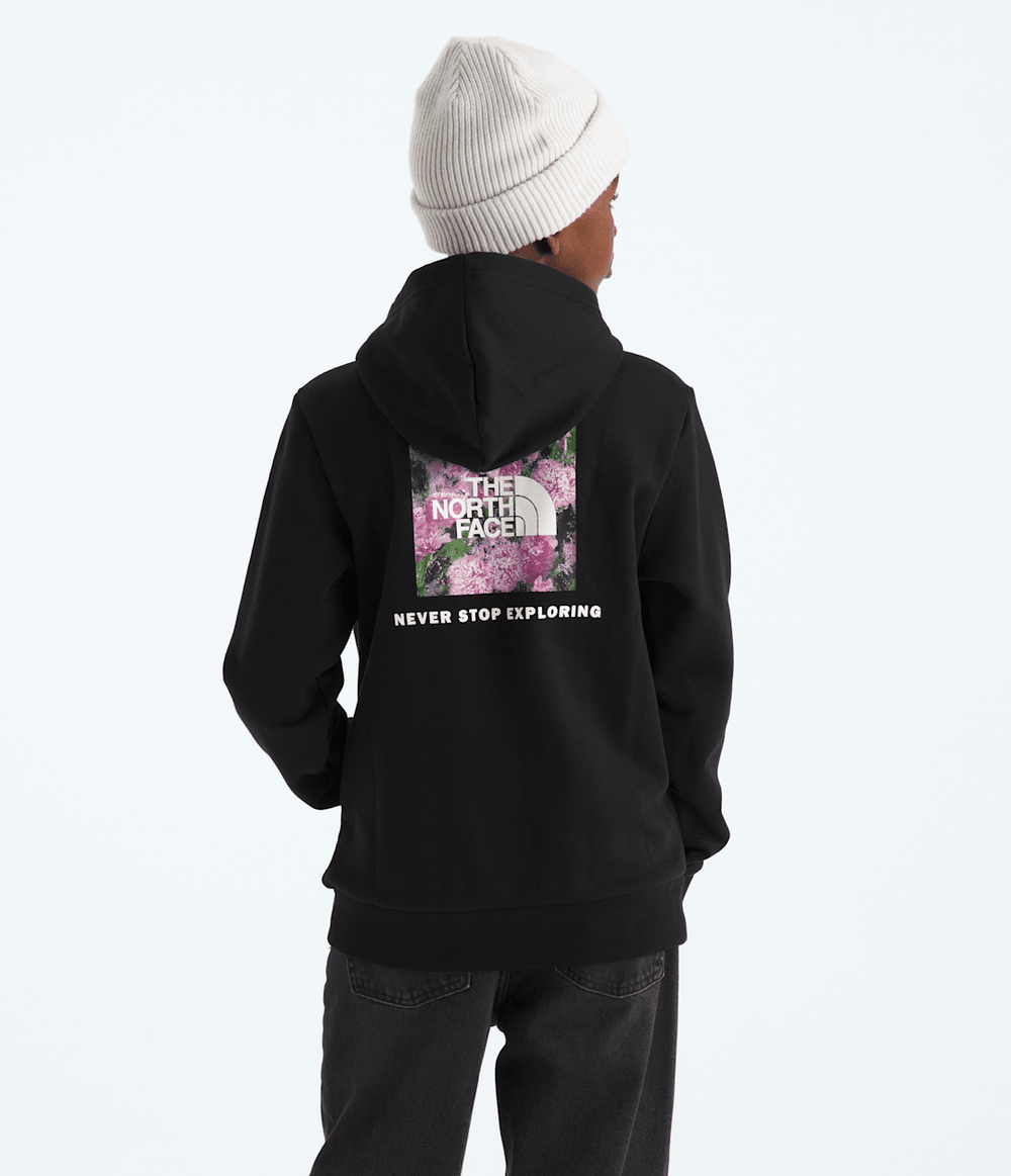 Boys’ & Girls’ Evolution Box NSE Pullover Hoodie—Graphic / The North Face