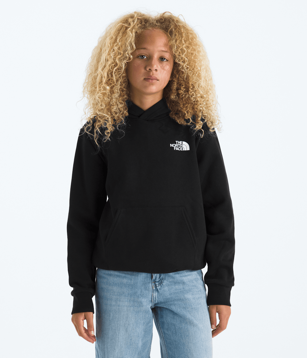 Boys’ & Girls’ Evolution Box NSE Pullover Hoodie—Graphic / The North Face