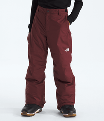 Boys’ Freedom Insulated Pants / The North Face