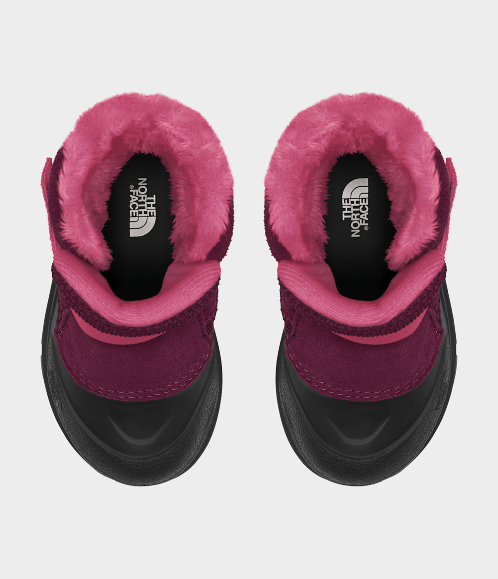 Toddler Alpenglow II Boots / The North Face